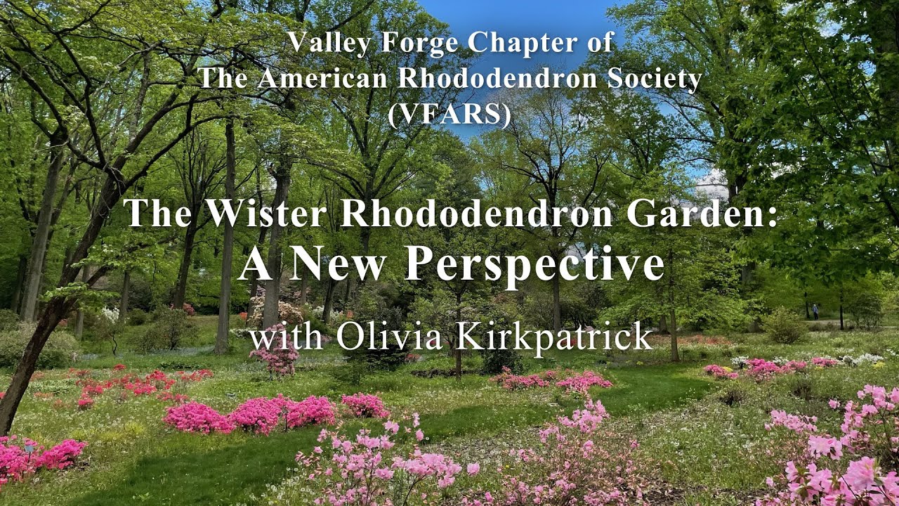VFARS Lecture - The Wister Rhododendron Garden: A New Perspective
