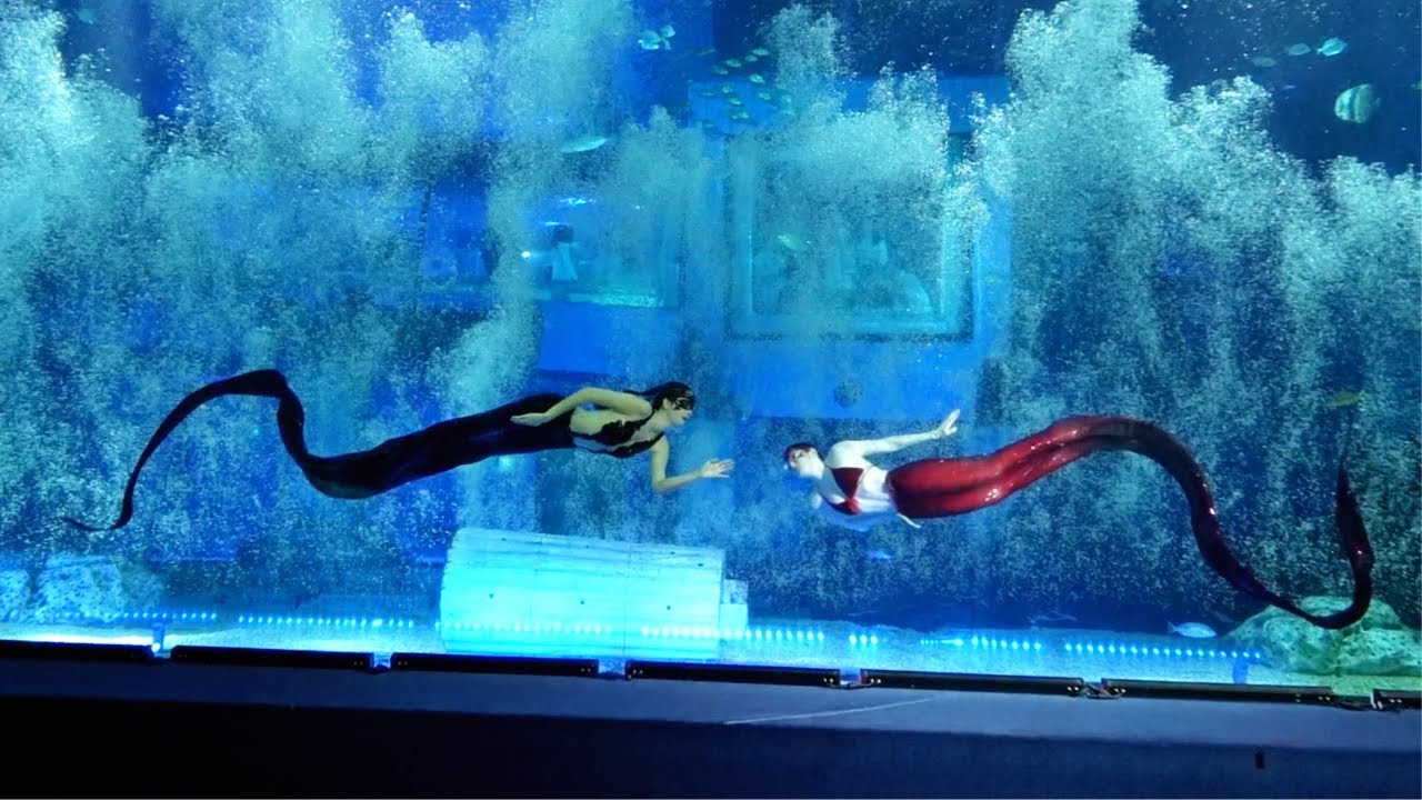 Mermaid Show at Guangzhou Aquarium Part 2 of 3 - Snakes