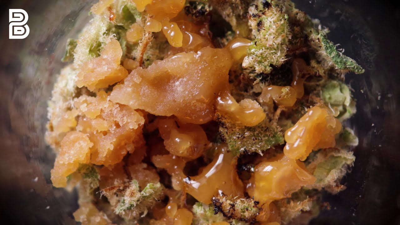 FL I-95 Crumble Melt from MUV | Budsbie Burns (Ep.9)
