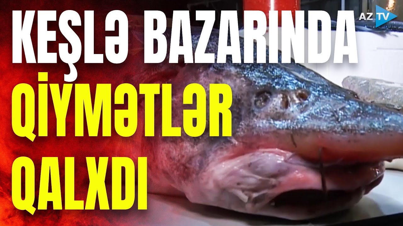 Gecə saatlarında açılan bazarda qiymətlər: ən çox hansı balıq satılır? - ətraflı REPORTAJDA
