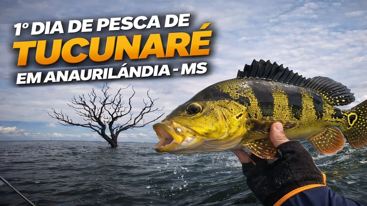 EP -1 Primeiro Dia de pesca em Anaurilândia - MS