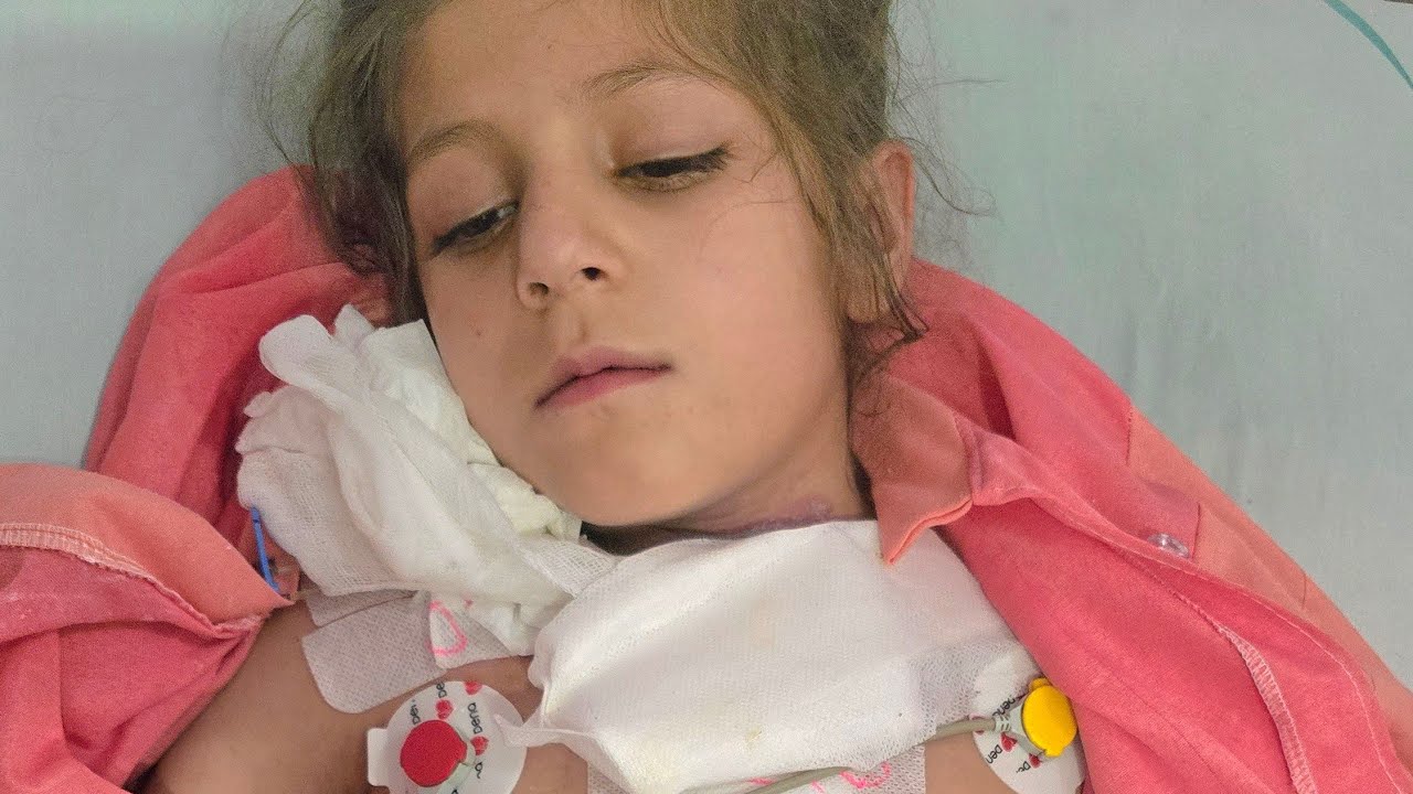 Family's nomadic life: Little girl catches 3 kilo fish and travels for a heart transplant!🐋❤️