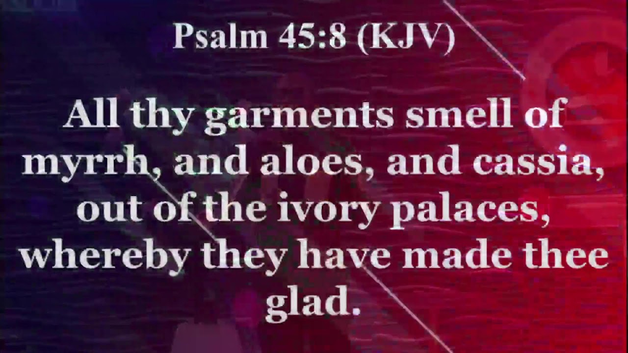 WALKING IN DIVINE WISDOM