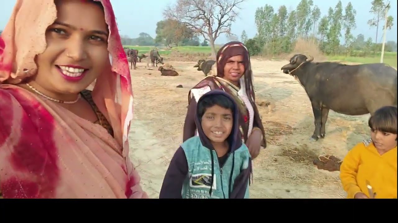 Humne Aaj Kiya chane ke sag ki chori chachi ke khet mein chachi Ne hamen 100 Gali Diya 😀😀😀😀
