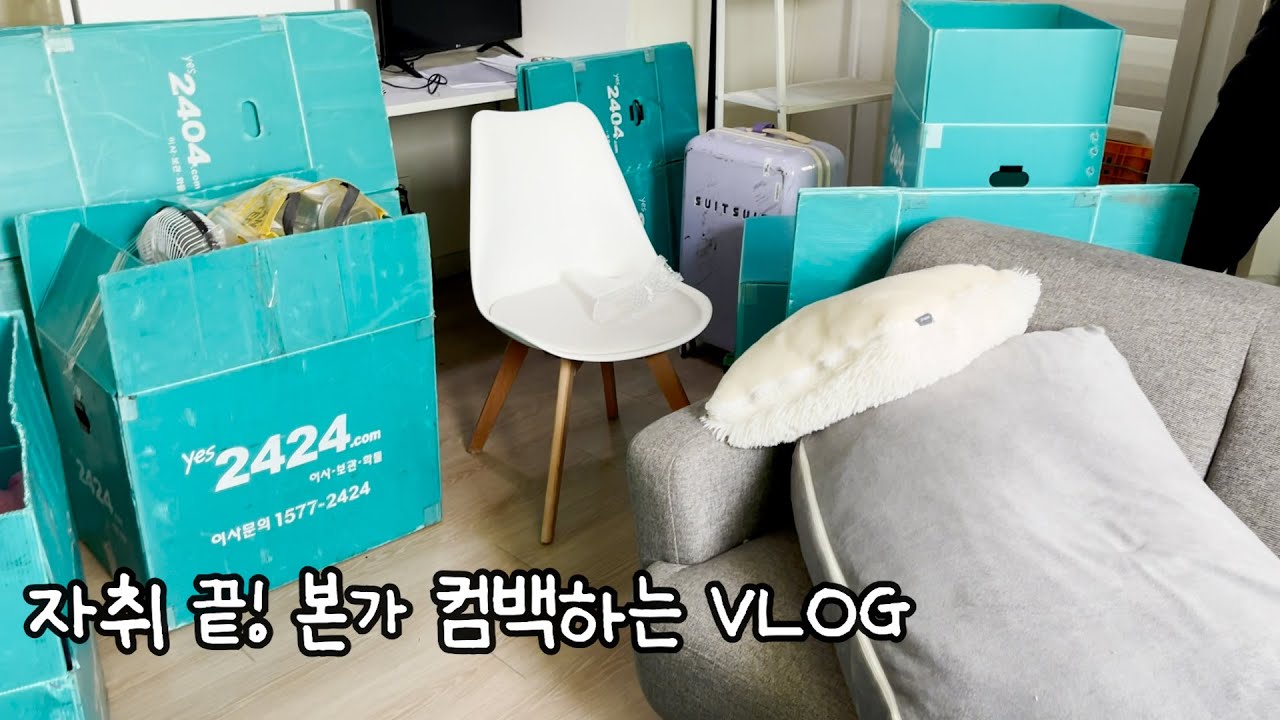 VLOG | 저는 이제 본가 식충이가 됩니다🥹 약 3년만에 자취 생활 끝내고 본가 컴백하는 브이로그 | 여행 짐 풀자마자 이삿짐 쌈 | 안녕 나의 아지트..✨