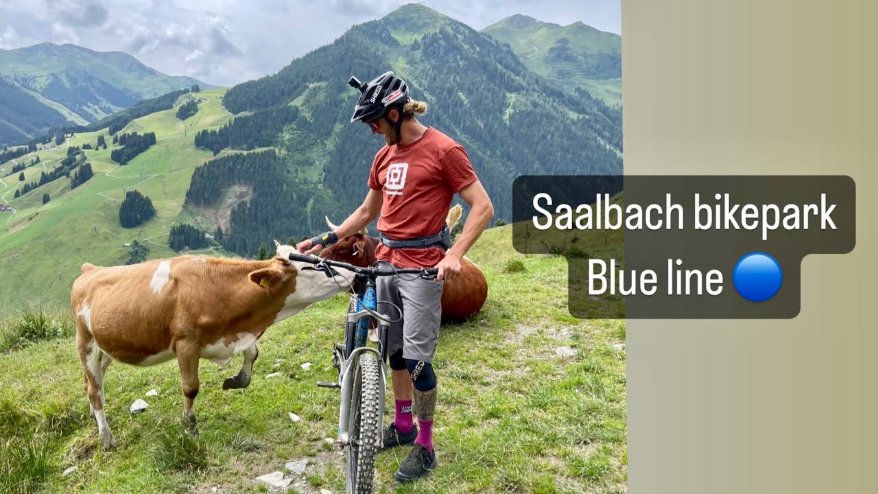 Saalbach bikepark | blue line