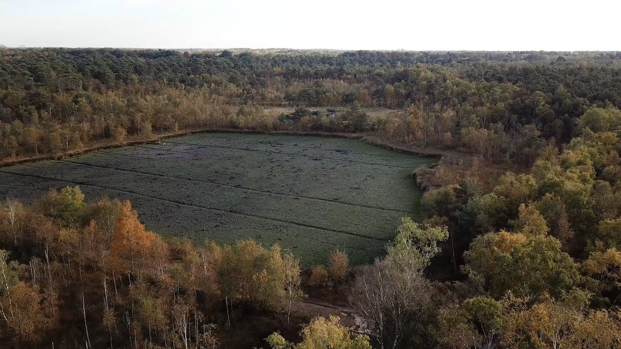 Restaurierungsarbeiten im Venner Moor