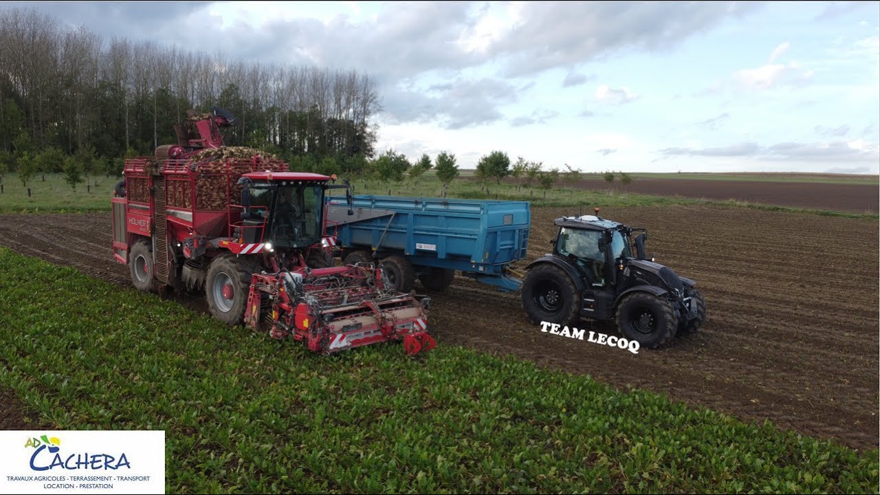 Arrachage de Betterave avec l'entreprise AD CACHERA et sa HOLMER T4 !!!