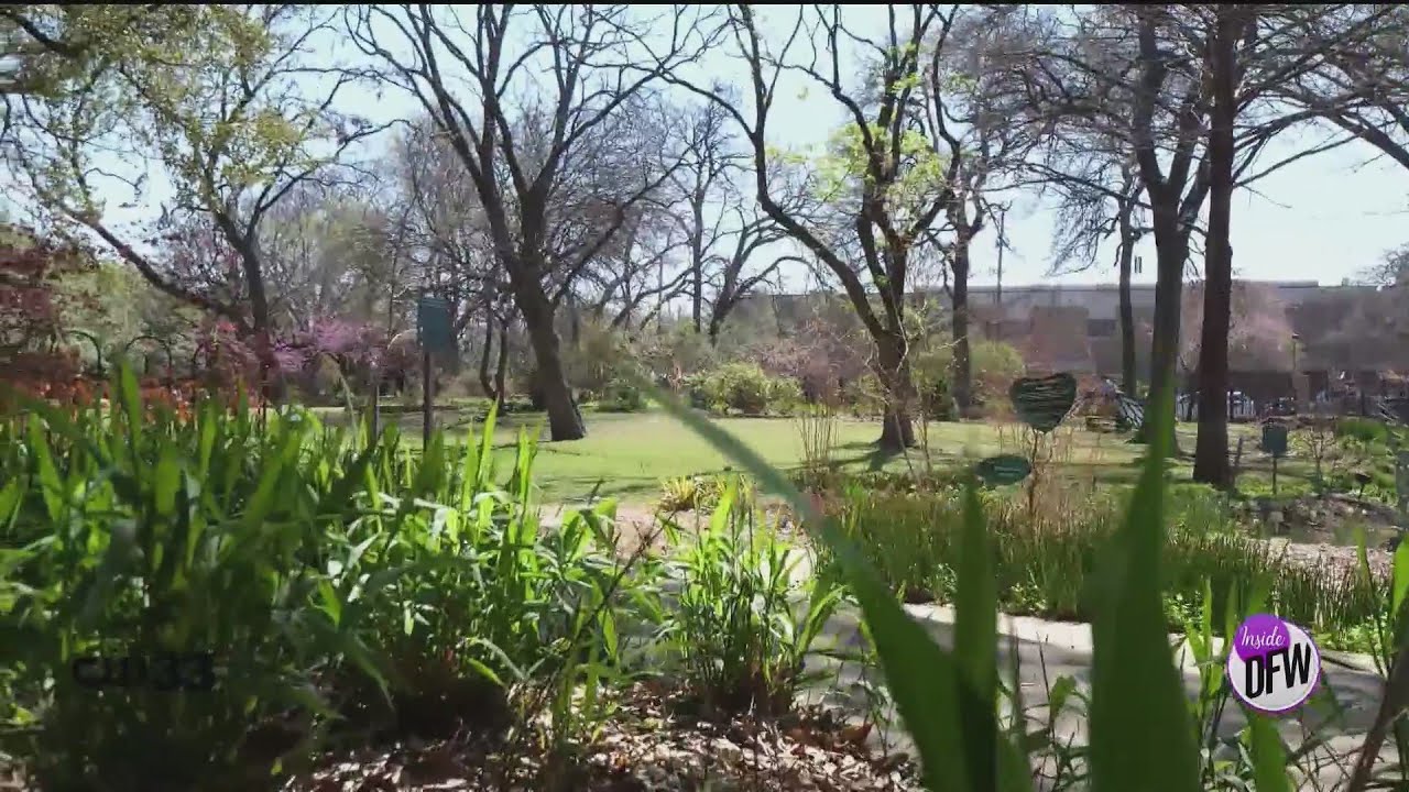 Dallas' best kept secret: Texas Discovery Gardens