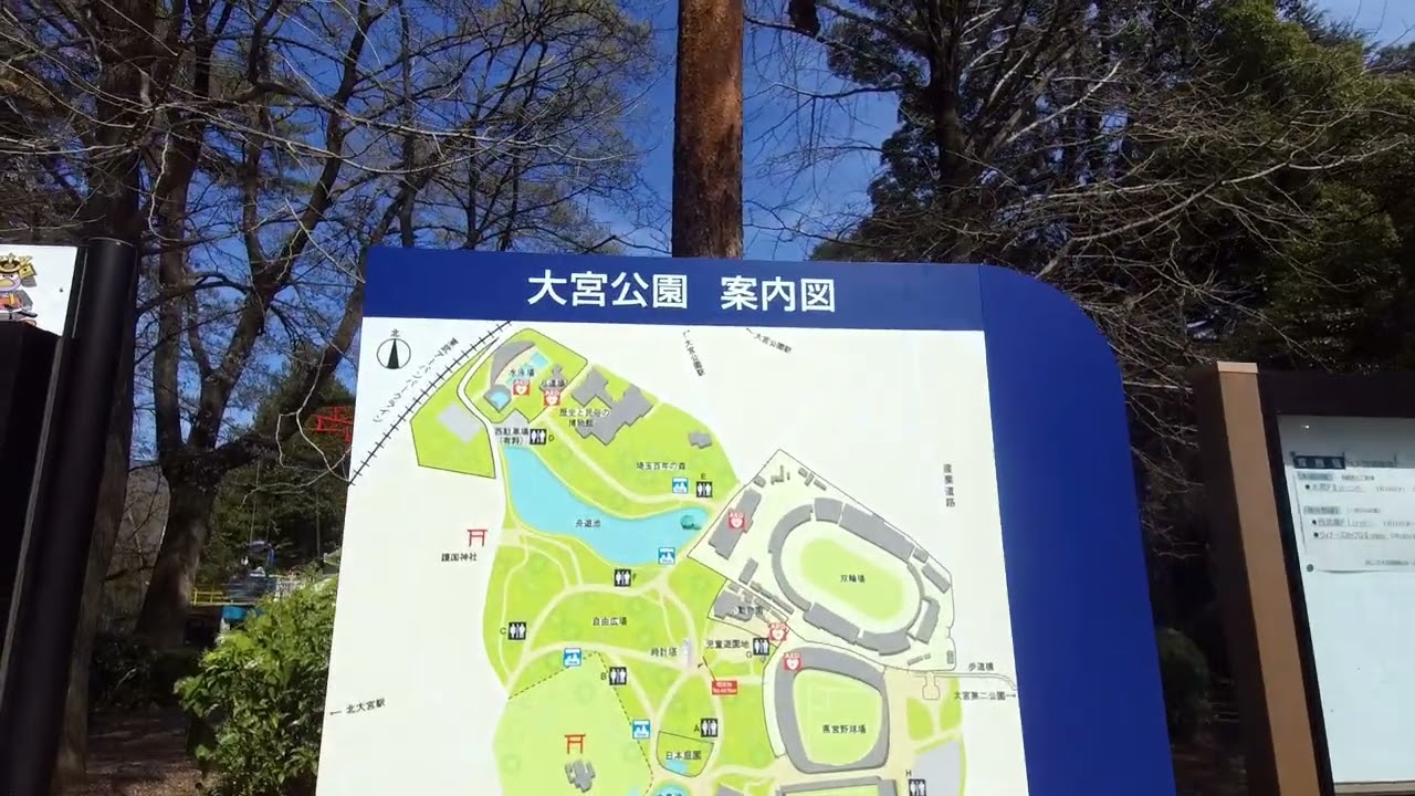 Cherry blossoms, petals and shrines ( Omiya park, Saitama, Japan ) Part 3