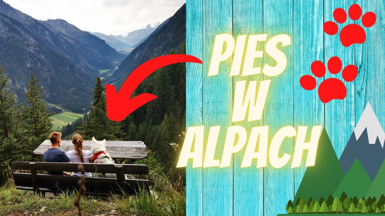 Z PSEM w ALPACH ⛰️ Bajeczne wakacje w Austrii #1 VLOG