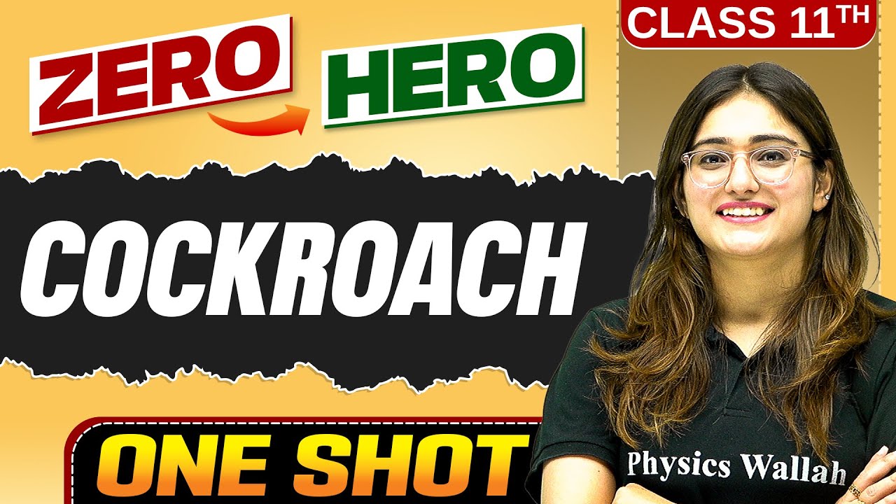 Cockroach | Full Chapter in ONE SHOT | Class 11 Biology 🔥