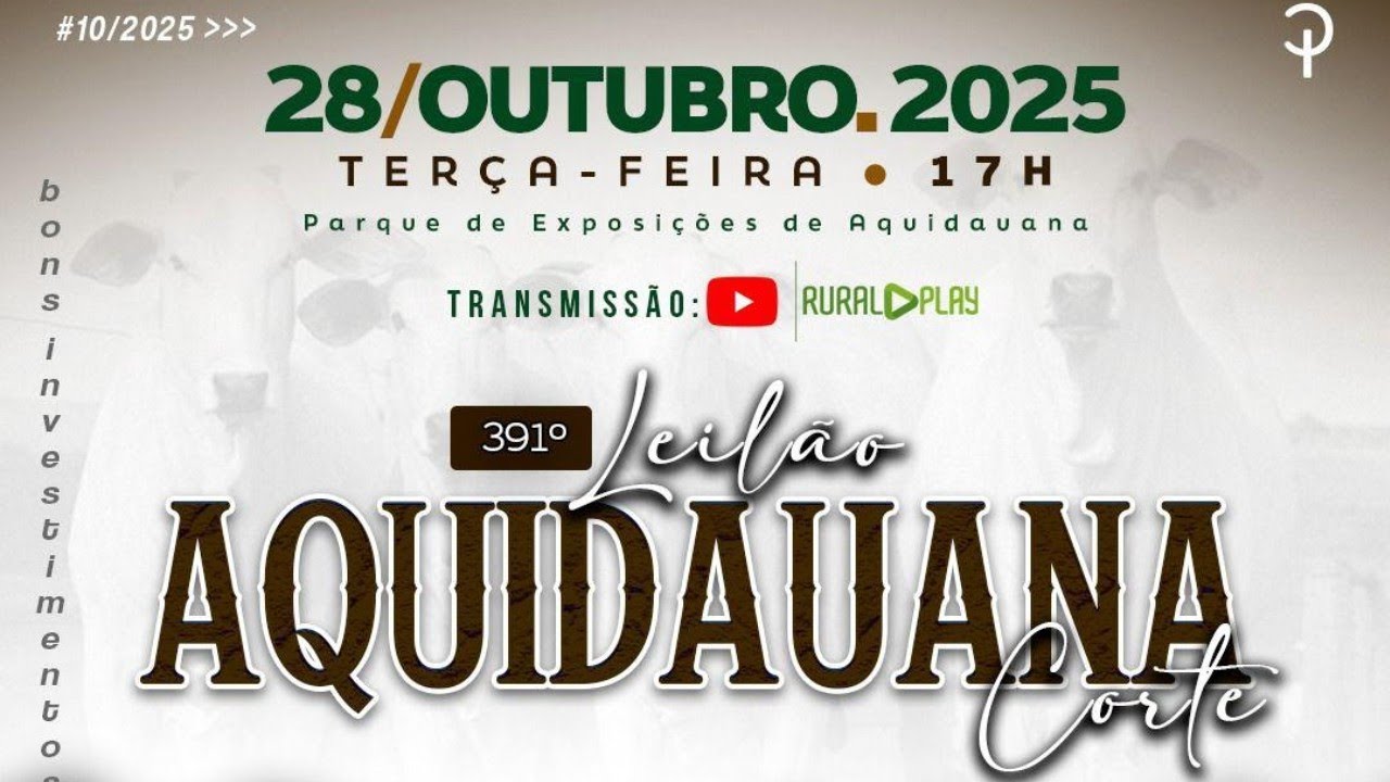 391&ordm; LEIL&Atilde;O MARCA P REMATES - AQUIDAUANA/MS - RURAL PLAY