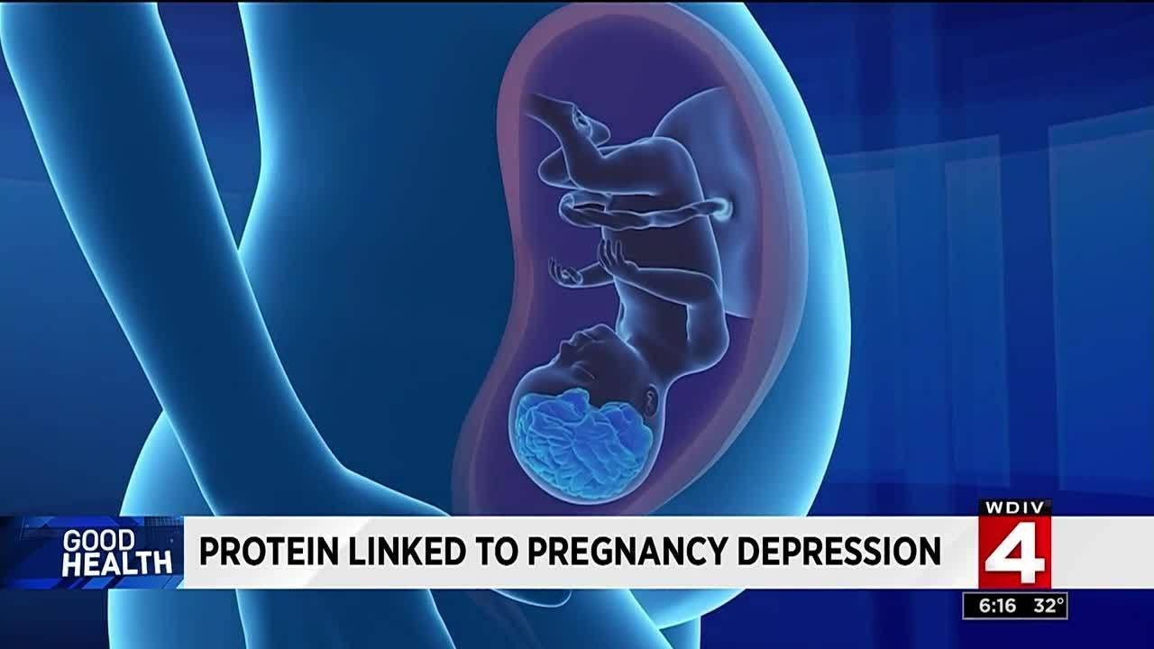 Protein linked to pregnancy depression