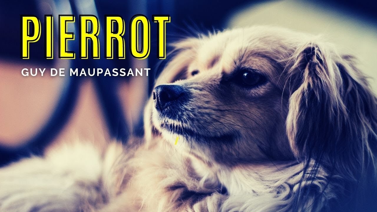 Lecture : Pierrot. Guy de Maupassant