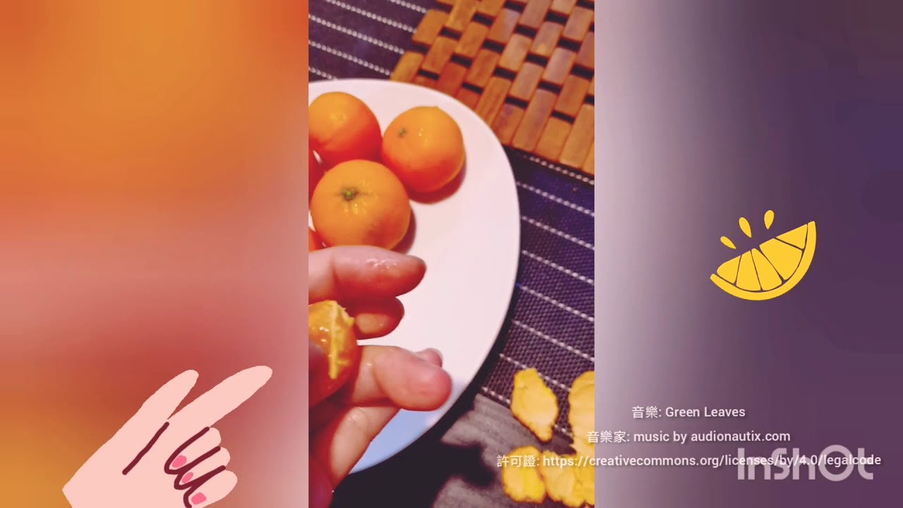 橘子籽 種盆 橘子盆栽