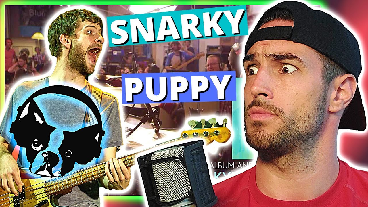 Snarky Puppy - What About Me? (We Like It Here) - REACTION!