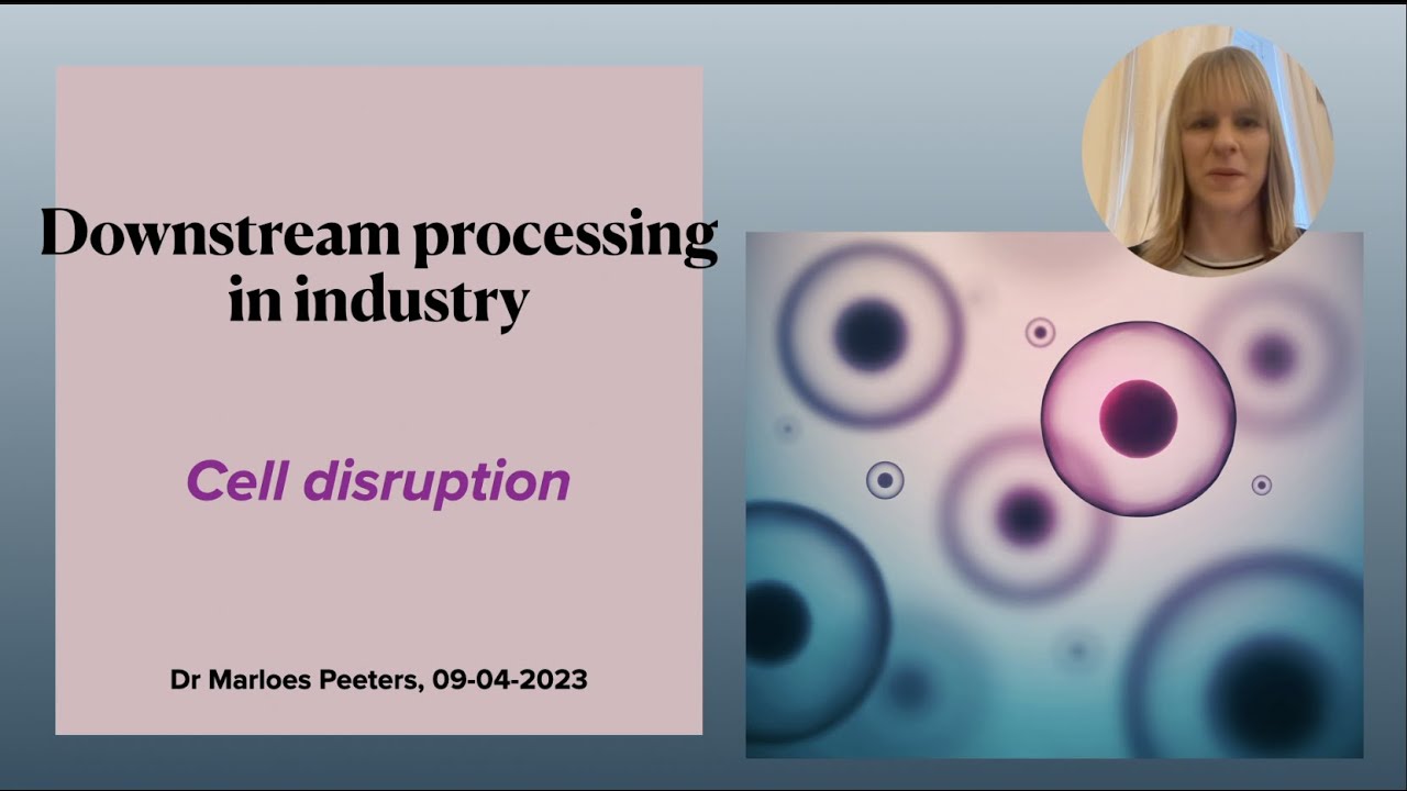 Downstream processing: Cell disruption methods