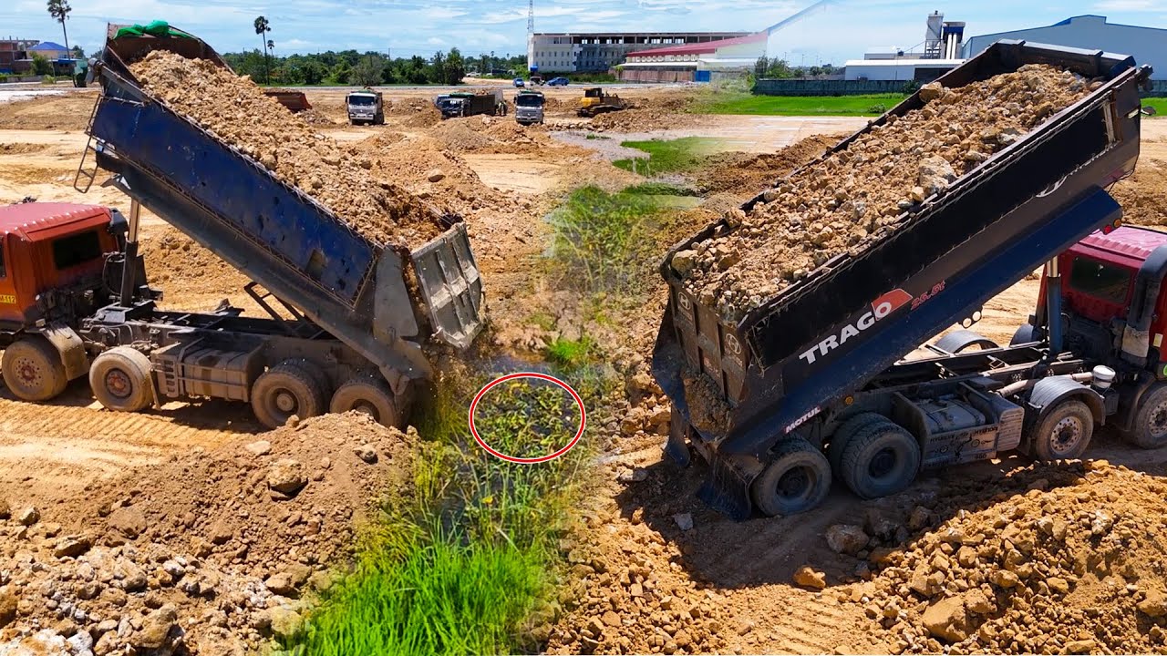 Best skill technique bulldozer driver with dump trucks