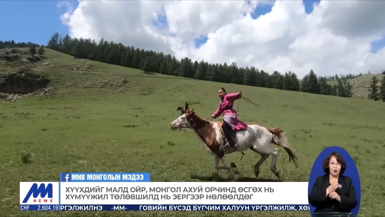 Г.Оюун-Эрдэнэ: Алаг морьтойгоо давхих хамгийн сайхан байдаг | MNB