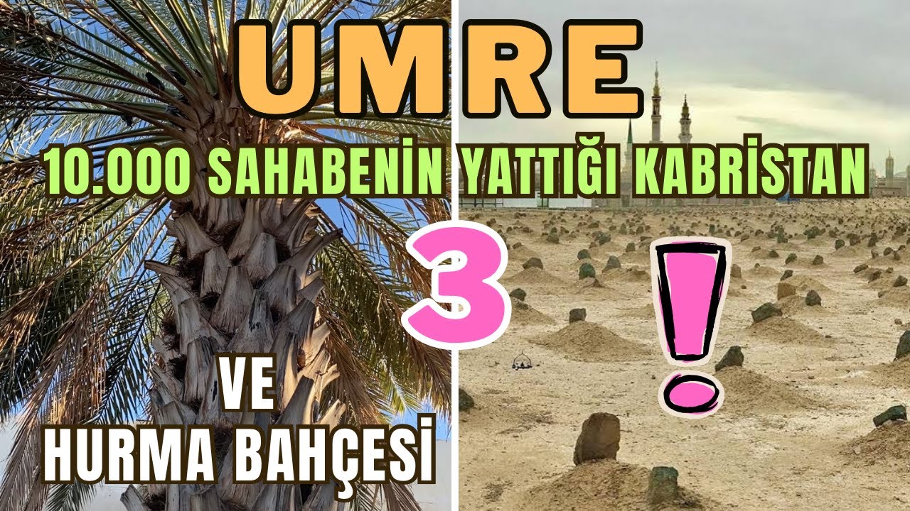 Suudi Arabistan Medine, Hurma Bahçesindeyim
