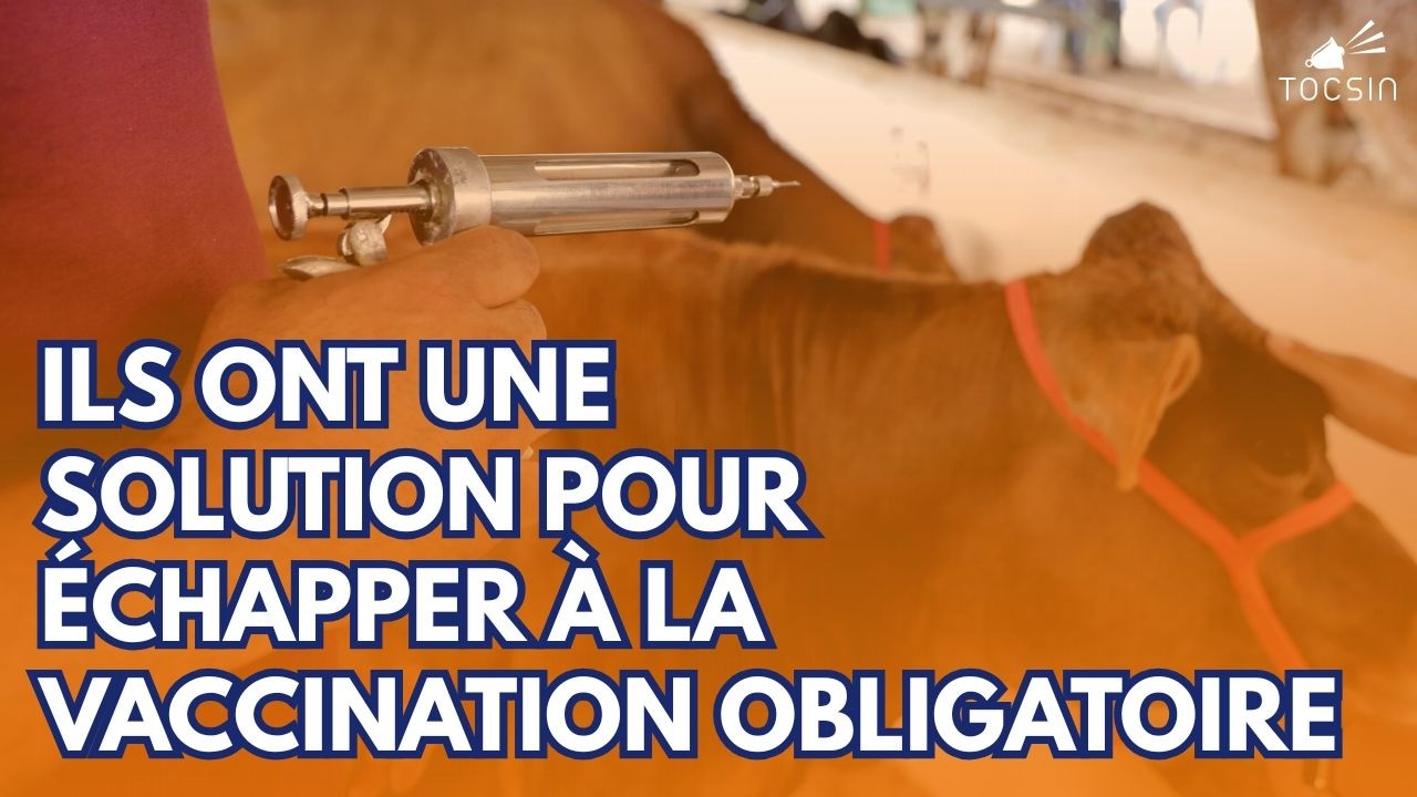 Vaccins DNC : des éleveurs embarrassent le système !