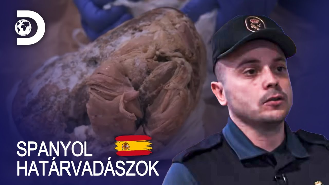Kiborult az utas! | Spanyol határvadászok