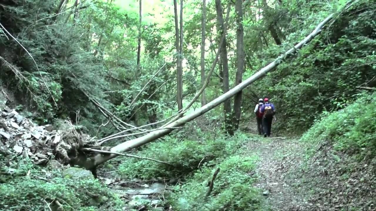 Coll d'Ares - Prats de Molló. Cami de l'exili