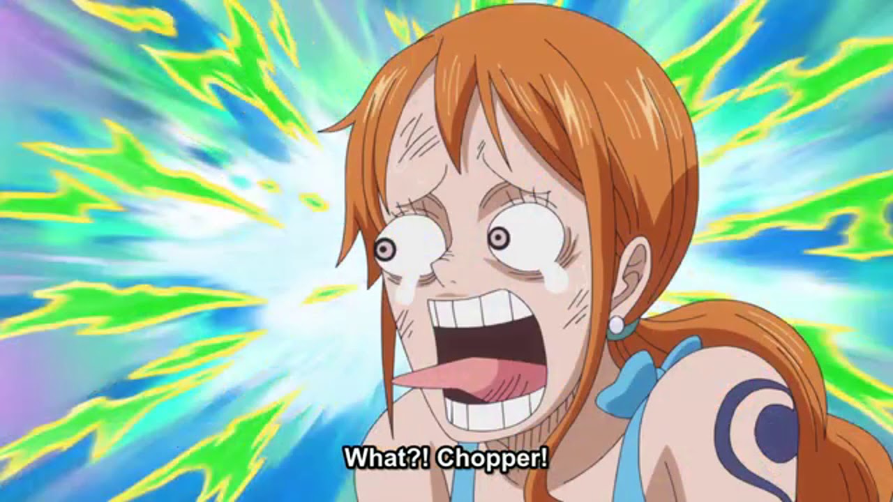 One Piece Episode 821: Chopper was accidentally electrified By Nami