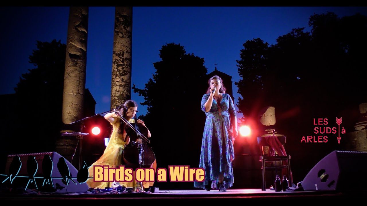 LES SUDS À ARLES 2025 : Birds on a Wire (théâtre antique)