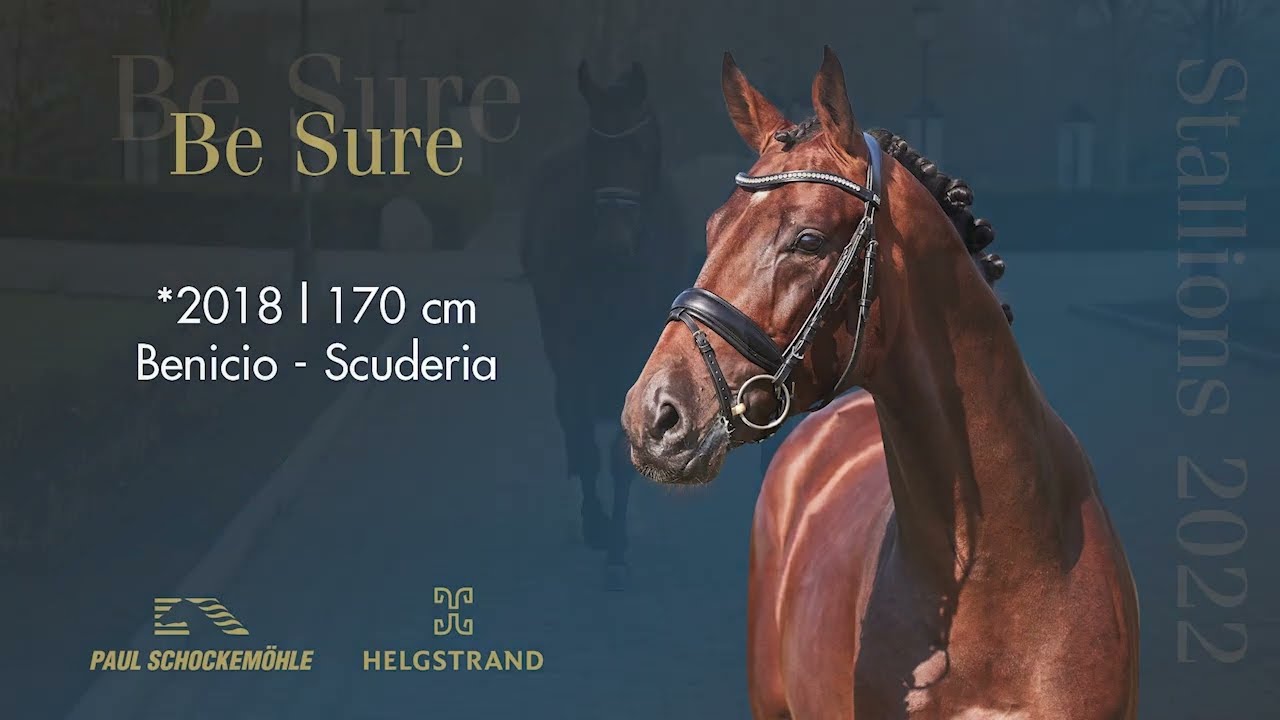 Be Sure - Dressage Collection 2022 Schockemöhle & Helgstrand (ENG)