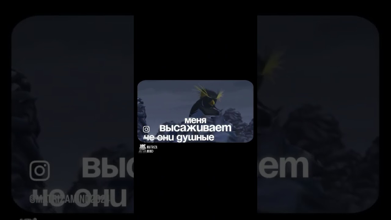 Коди - это я бро