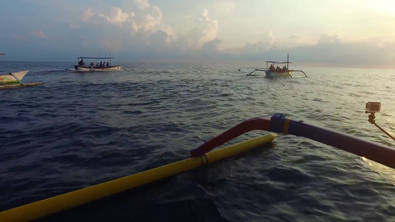 Chasing Dolphins - Lovina, Bali, Indonesia