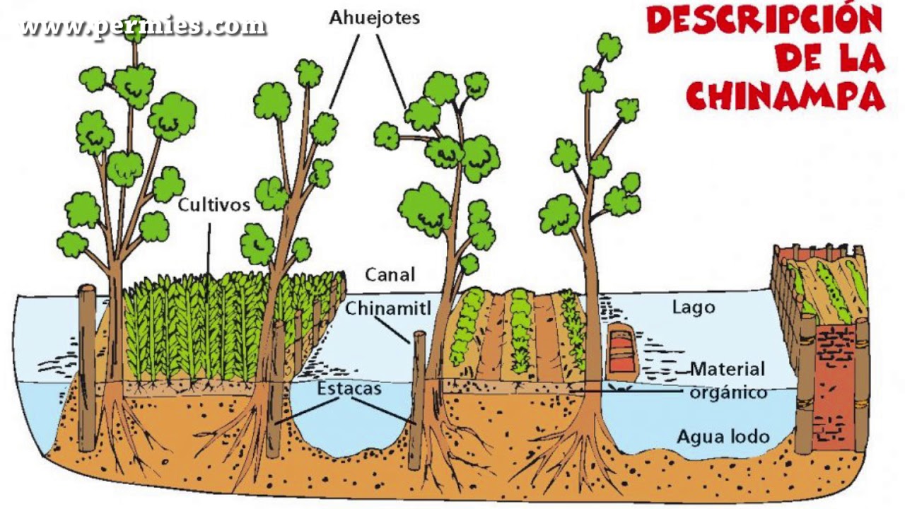 Chinampas