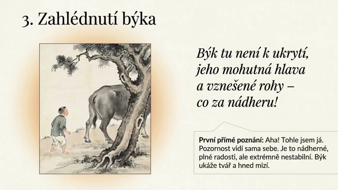 Hledání býka - eKniha - Zenová cesta duchovního hledání očima čtyř temperamentů