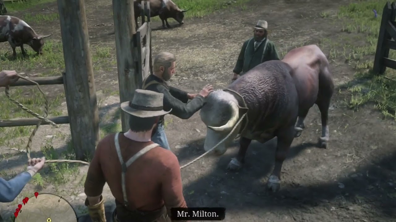 Arthur Morgan buye 🐄