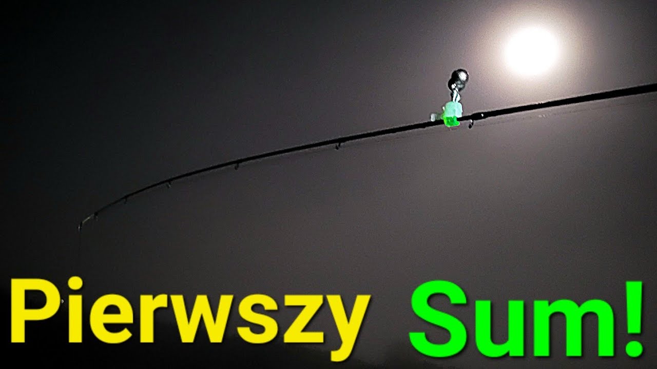 Pierwszy Sum! Pierwsza Noc na Wiśle! Rzeczny Feeder! Wędkarstwo klasyczny rzeczny feeder na PZW