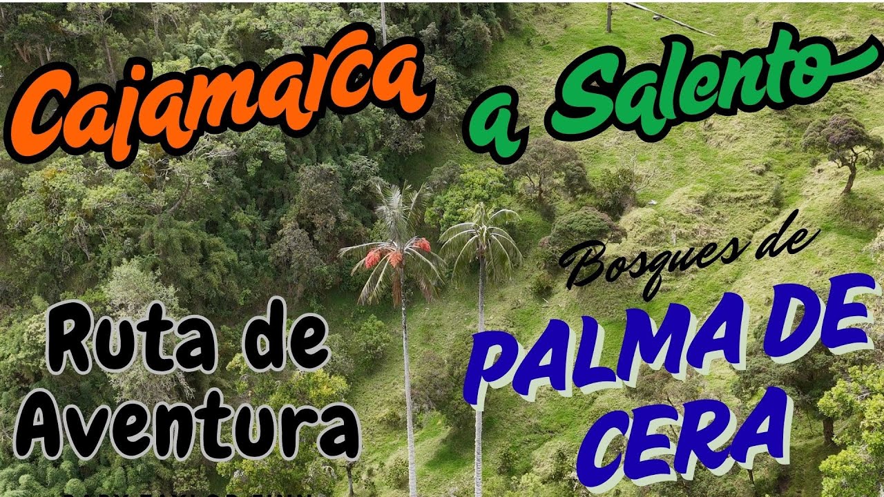 Ruta CAJAMARCA SALENTO por carretera destapada OFF ROAD Bosques De Palma De Cera