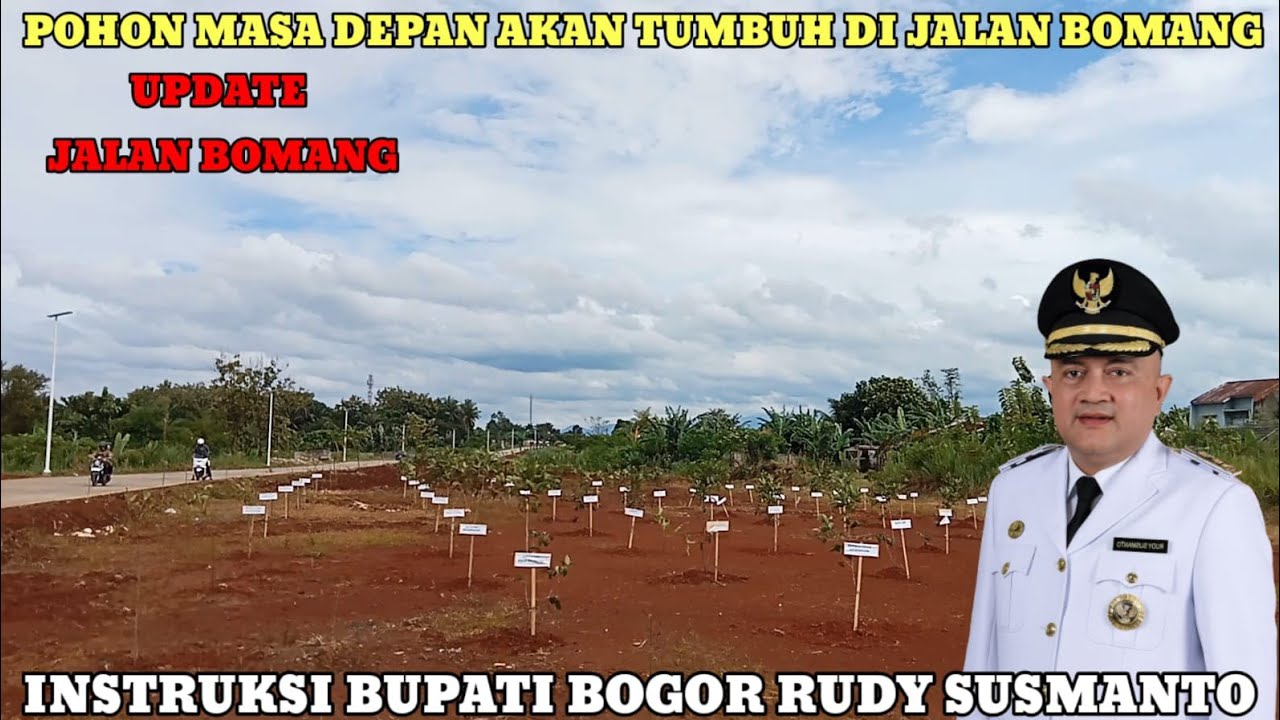 MANTAP‼️JALAN BOMANG SUDAH DI TANAMI BANYAK POHON