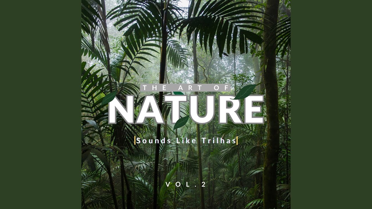 The Art Of Nature, Vol. 2