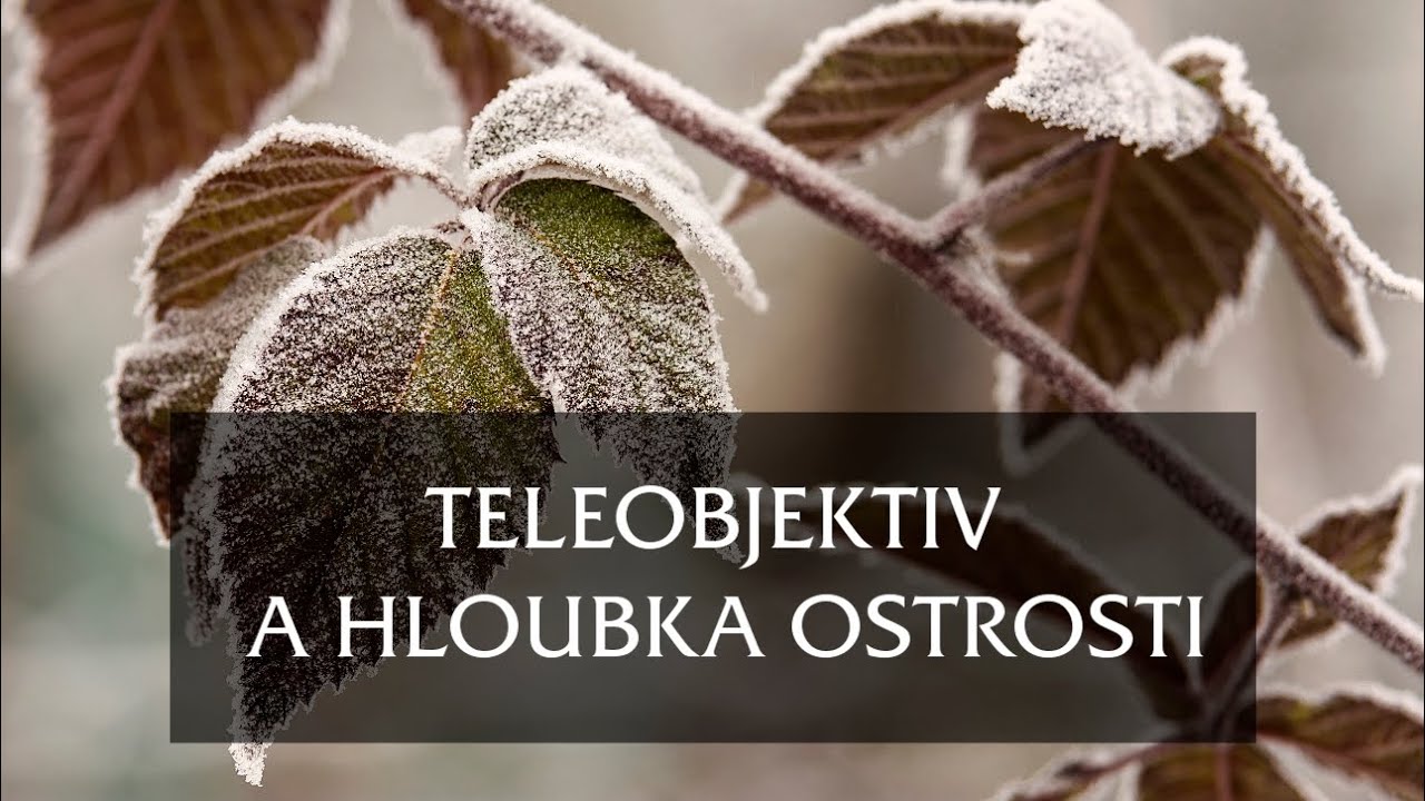 Jak na hloubku ostrosti při použití teleobjektivu? | Tři praktické ukázky
