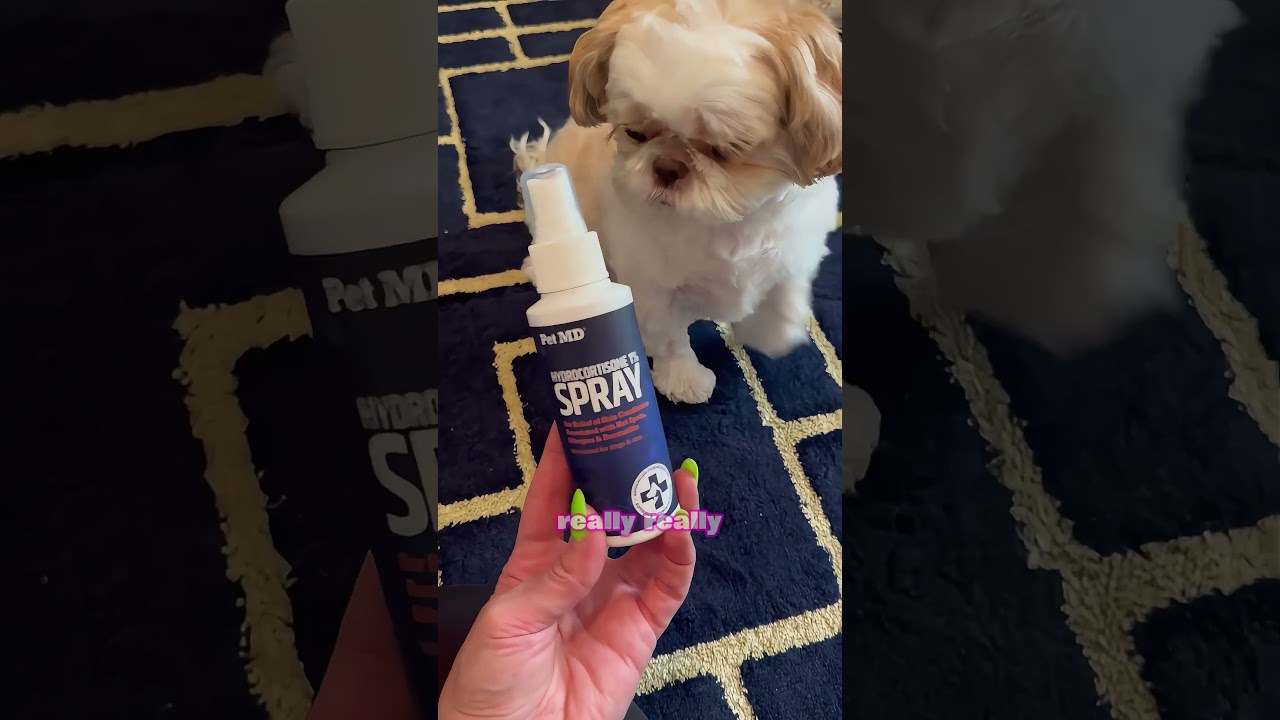 Relief Spray That Calms Pets’ Itchy Skin
