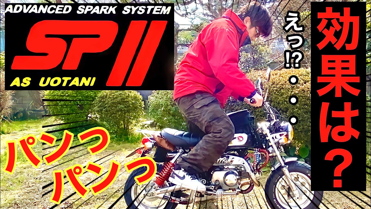 ウオタニSP２コイルの効果はあったのか【モンキー検証】