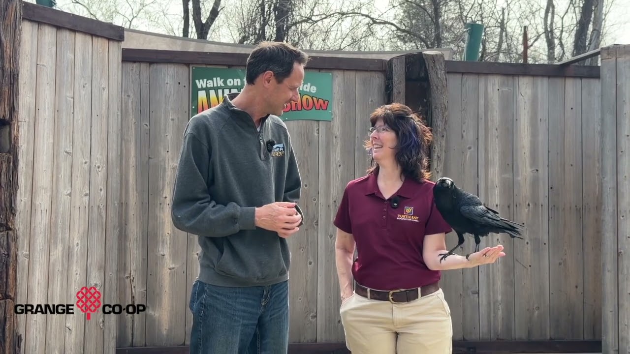 Turtle Bay Wonderful World of Animals - Currie