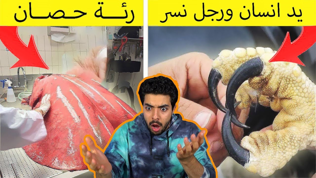 اشياء ماكنت تعرف ان هذا حجمها الحقيقي | جلططططة !!!