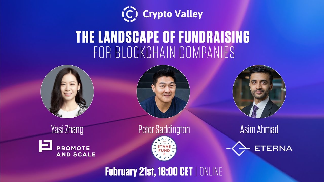 The Landscape of Fundraising for Blockchain Companies
