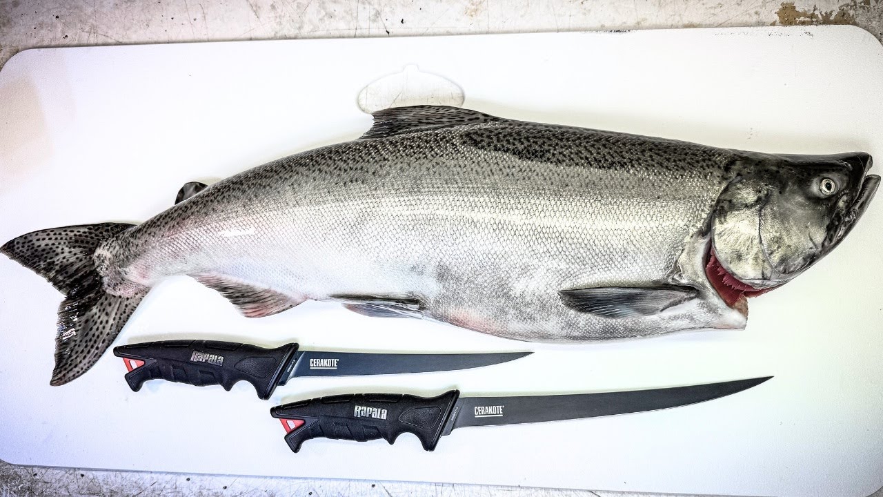How to Fillet a King Salmon (2 Ways!)
