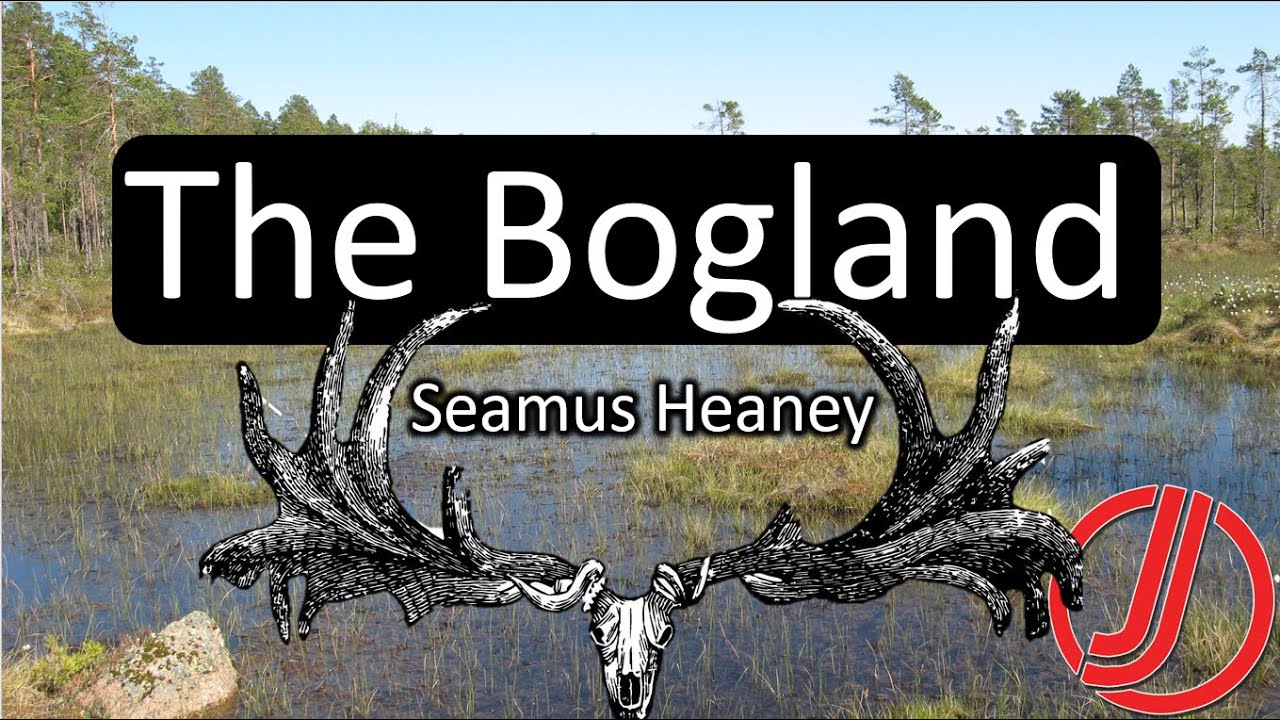 Bogland by Seamus Heaney | Poem Analysis & Symbolism Explained