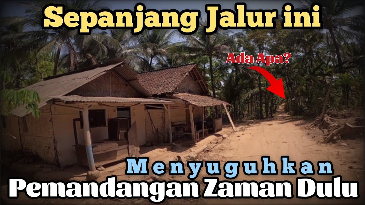 Tersembunyi di UJUNG SELATAN BANYUWANGI, Seperti inilah Kondisi Perjalanan Menuju Pantai Wedi Ireng