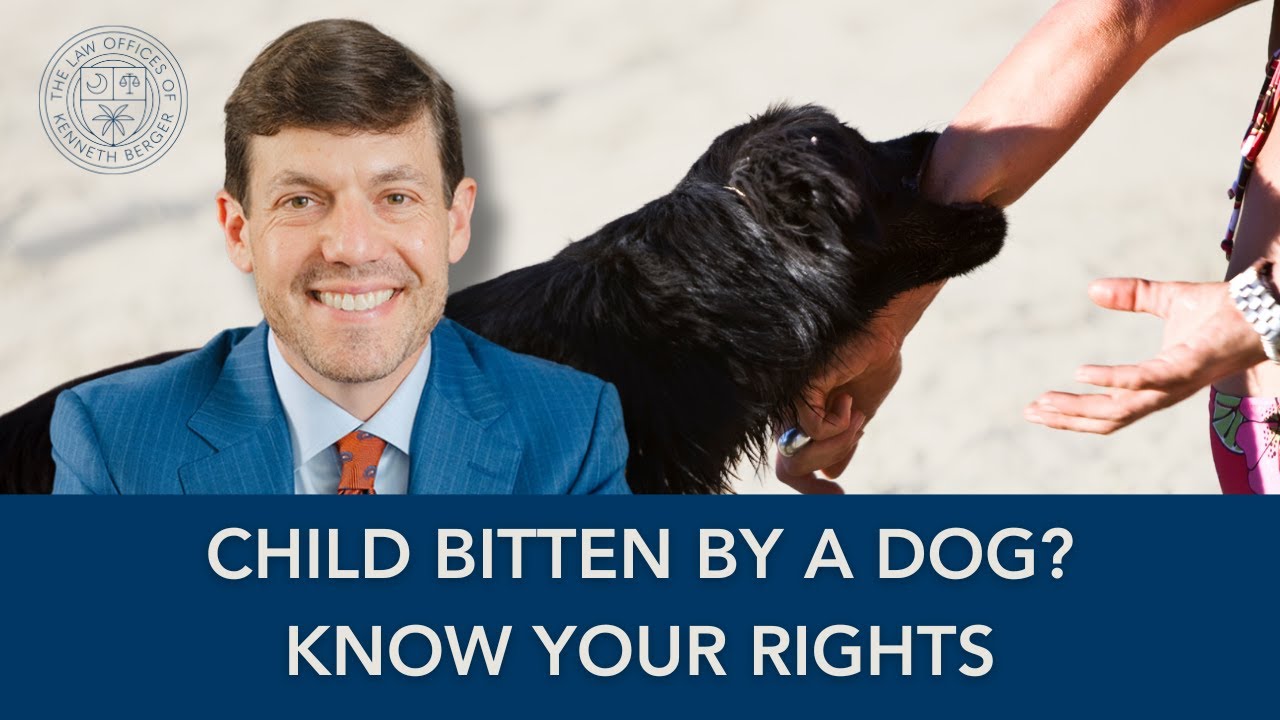 Dog Bite Injuries to Children in South Carolina - Child Injuries - Law Office of Kenneth Berger